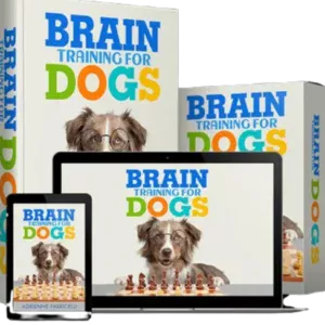 Brain Training for Dogs