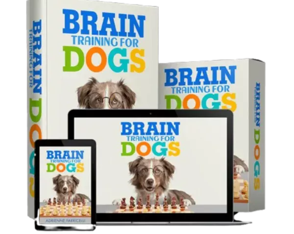 Brain Training for Dogs